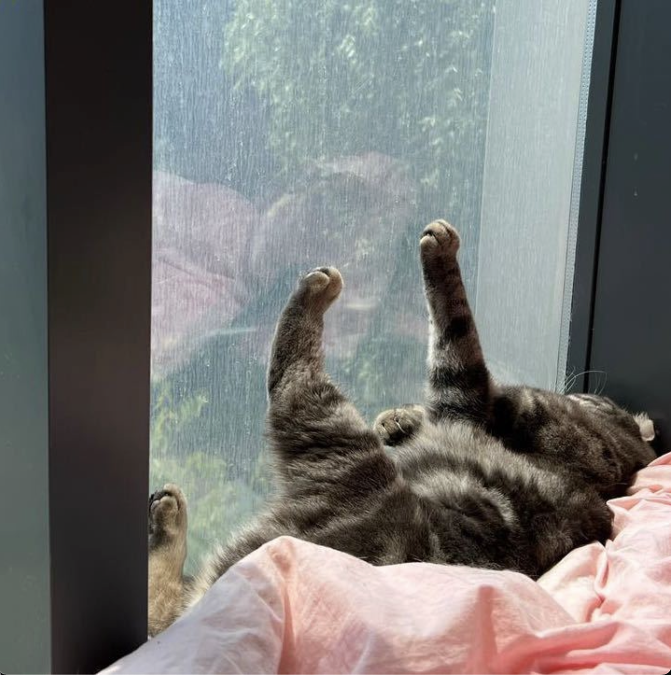 vscode-extension-practice